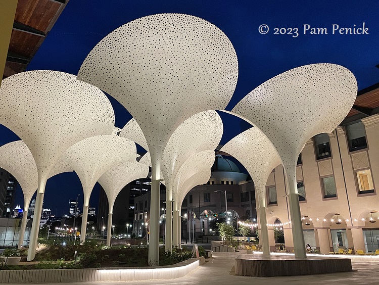 Evening under the Petals at Blanton Museum