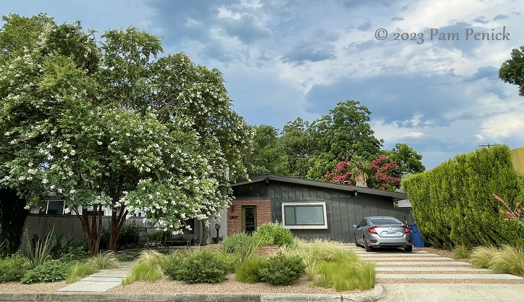 Drive-By Garden: Waterwise front yard and patio