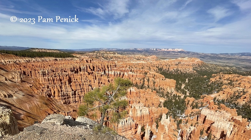 Hoodoo wonderland at Bryce Canyon National Park Hoodoo wonderland at Bryce Canyon National Park